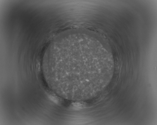 X0000081390703200702090038