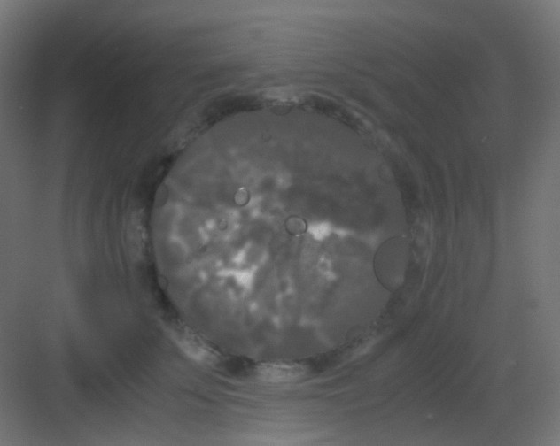 X0000081390707200702090038