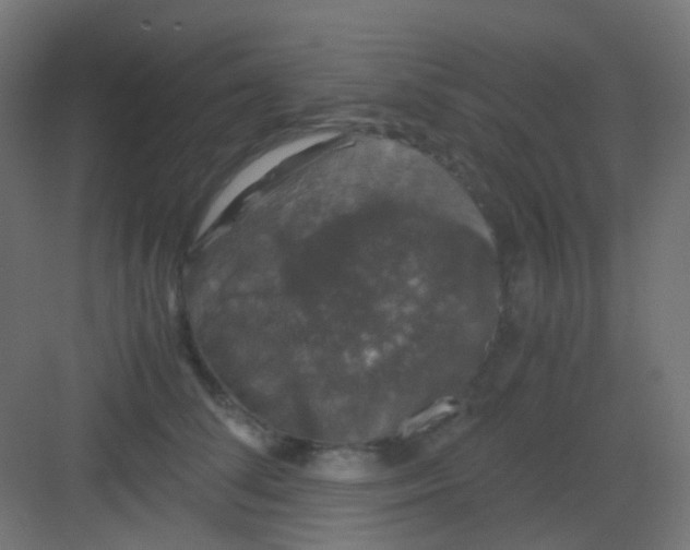 X0000081390708200702090038