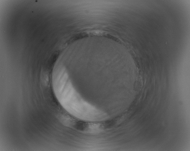 X0000081390709200702090038