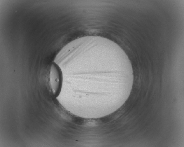 X0000081390710200702090038