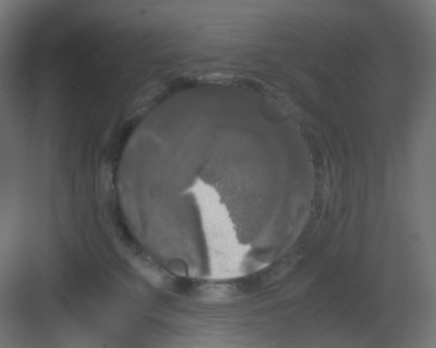 X0000081390711200702090038