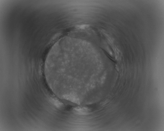 X0000081390712200702090038