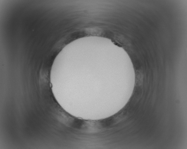 X0000081390713200702090038