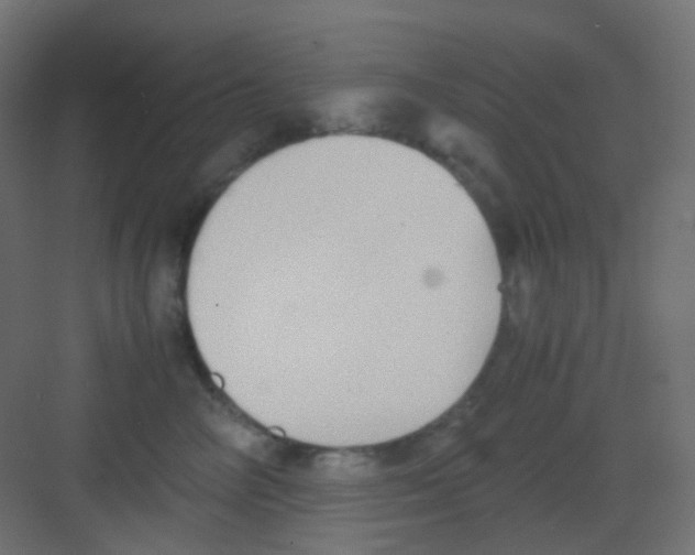 X0000081390714200702090038