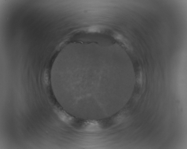 X0000081390715200702090038