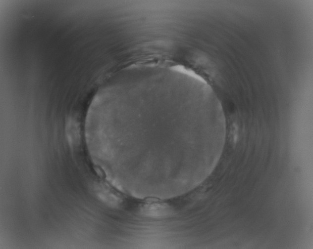 X0000081390716200702090038