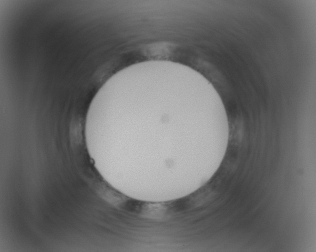 X0000081390717200702090038