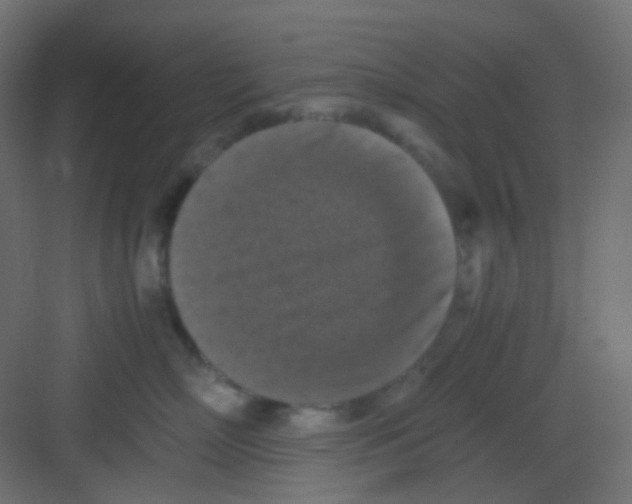 X0000081390718200702090038