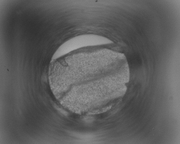 X0000081390719200702090038