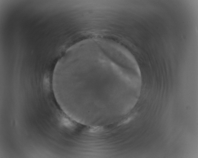 X0000081390720200702090038