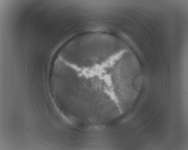 X0000081390721200702090037