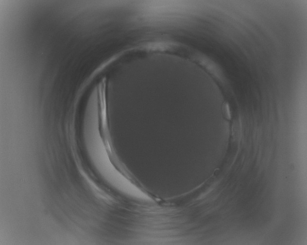 X0000081390722200702090037