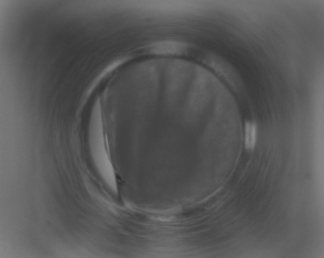 X0000081390723200702090037