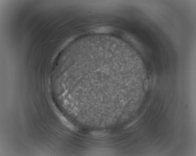 X0000081390725200702090037