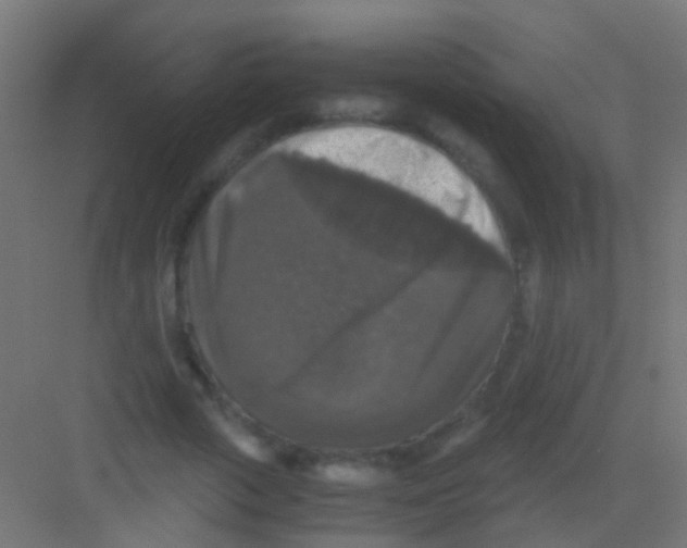 X0000081390729200702090037