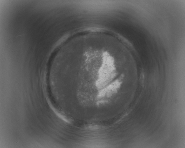 X0000081390730200702090037