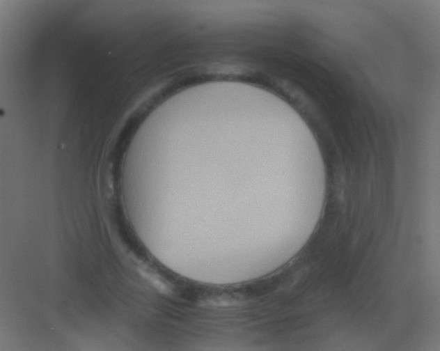 X0000081390731200702090037