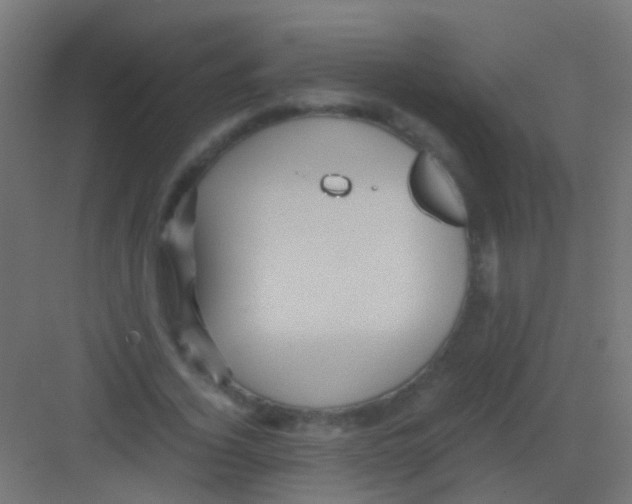 X0000081390732200702090037