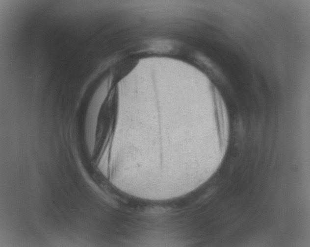 X0000081390734200702090037