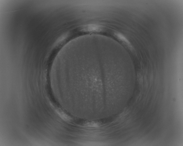 X0000081390735200702090037