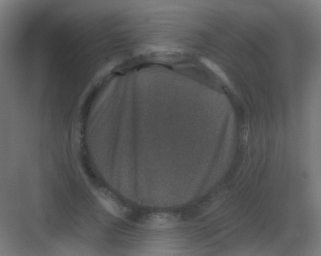 X0000081390736200702090037