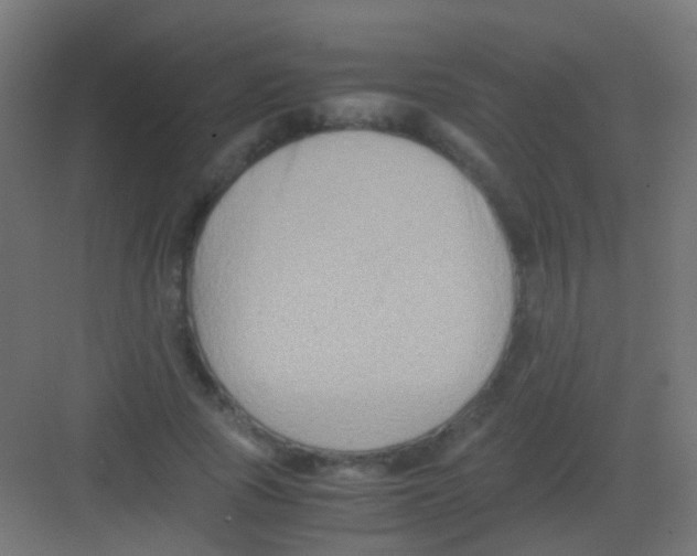 X0000081390737200702090037