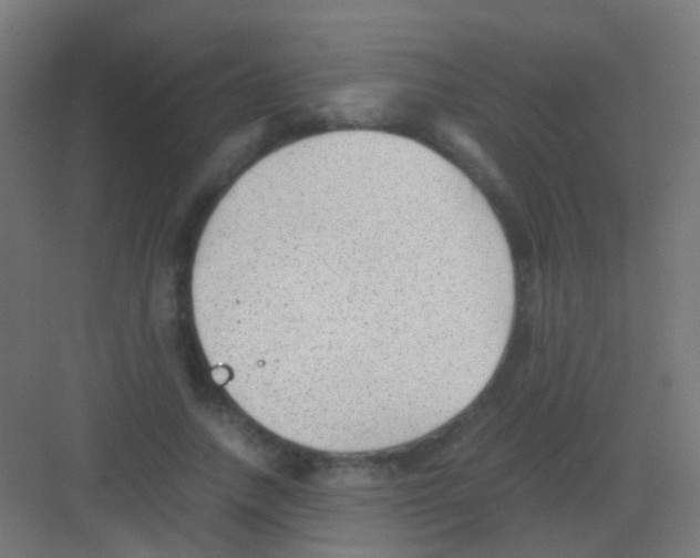 X0000081390738200702090037