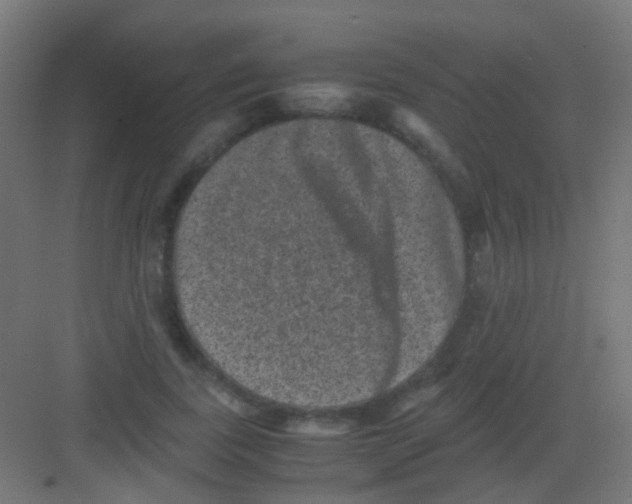 X0000081390739200702090037