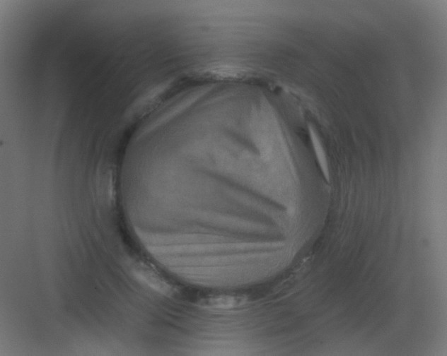 X0000081390740200702090037