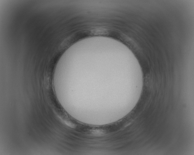 X0000081390741200702090037