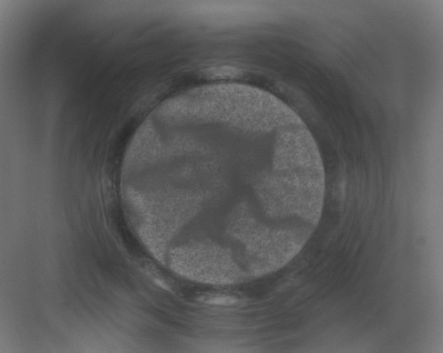 X0000081390743200702090037