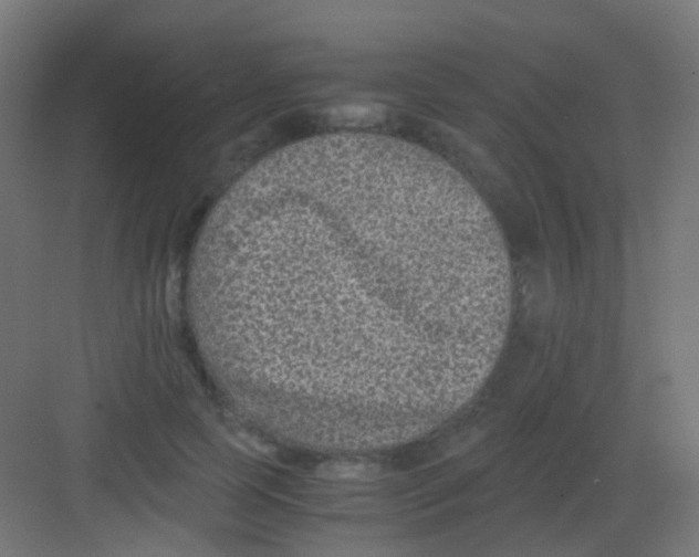 X0000081390745200702090037