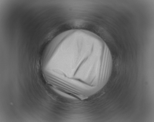 X0000081390746200702090037