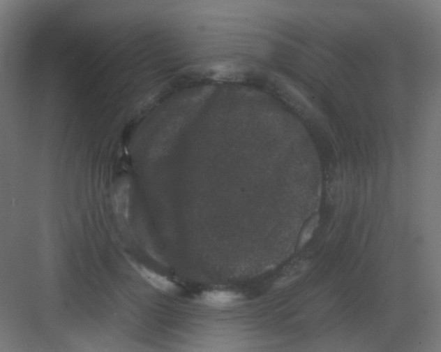 X0000081390748200702090037