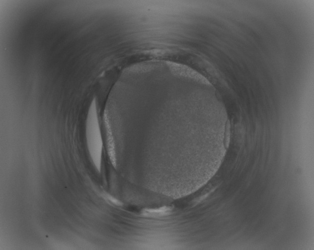 X0000081390750200702090037