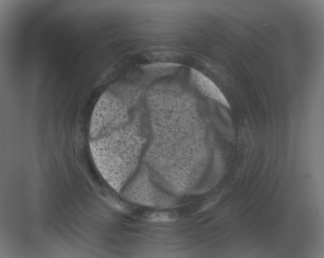 X0000081390751200702090037