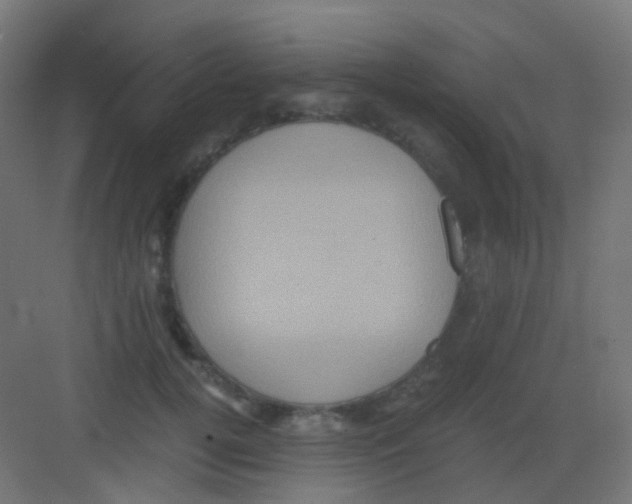 X0000081390752200702090037