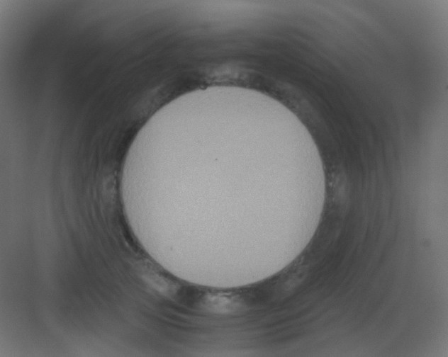 X0000081390753200702090037