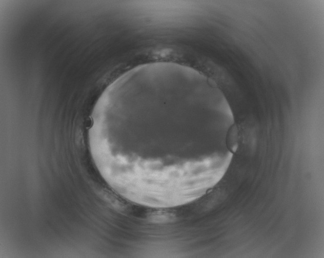 X0000081390754200702090037