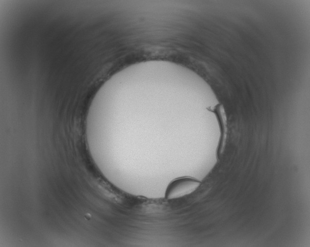 X0000081390756200702090037