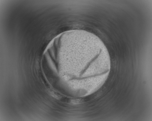 X0000081390757200702090037