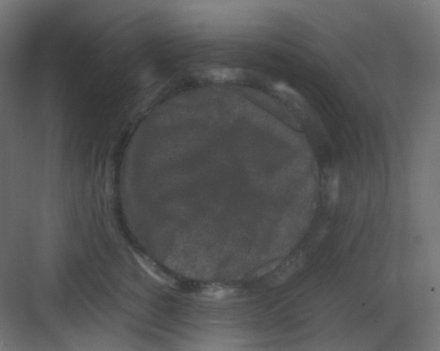 X0000081390760200702090037