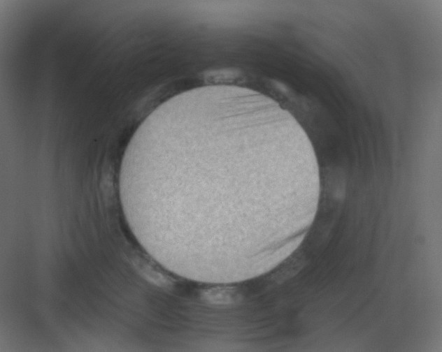 X0000081390761200702090038