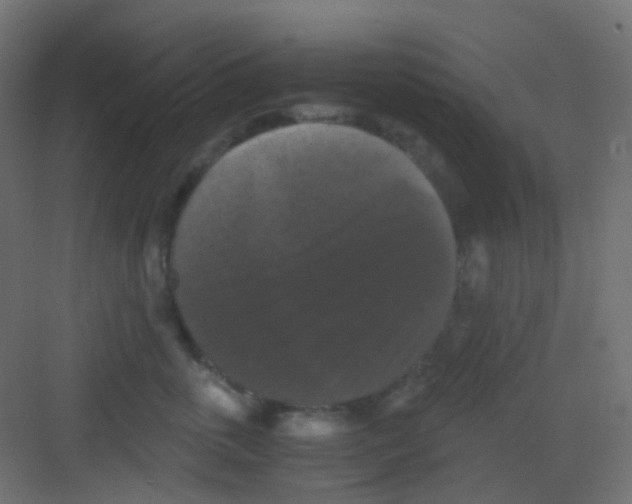 X0000081390763200702090038