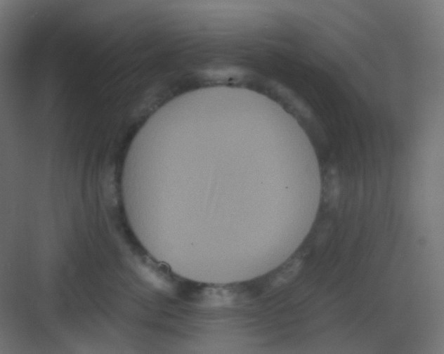 X0000081390764200702090038