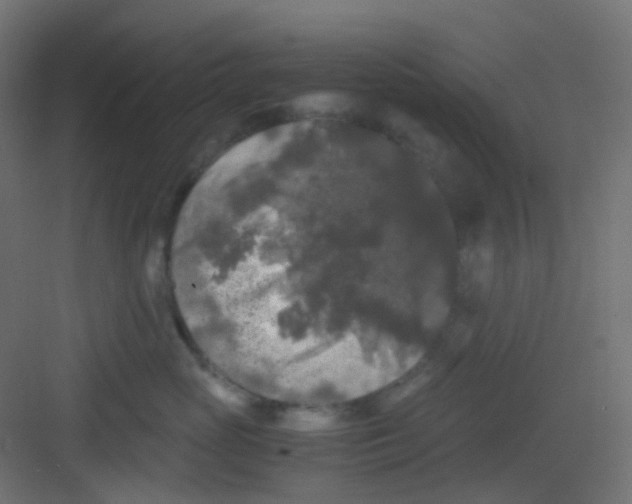 X0000081390765200702090038