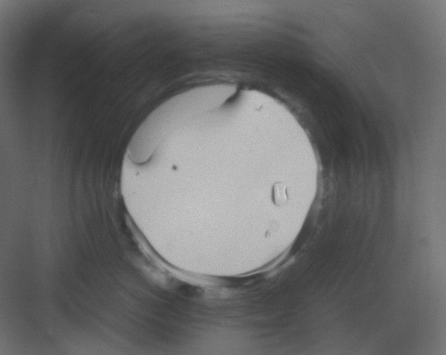 X0000081390766200702090038