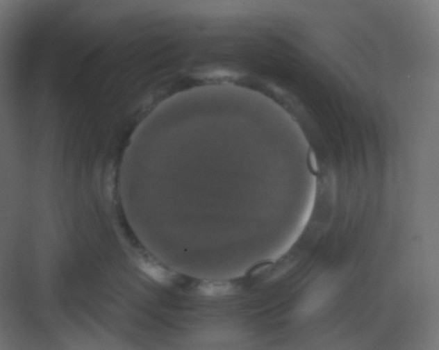 X0000081390767200702090038