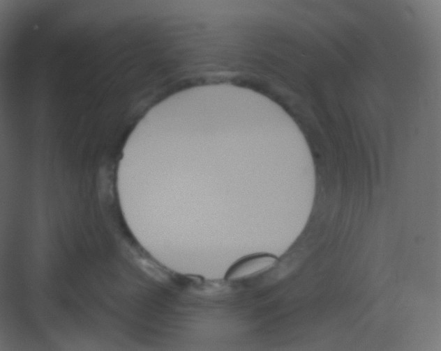 X0000081390768200702090038